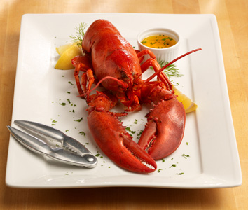 devforum.ml @Lobsteranywhere Feb More. Copy link to Tweet; Embed Tweet; Bringing the surf to your turf this #valentinesdinner? Here's 3 tips for .